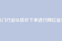 热门行业以低价下单进行网红业务