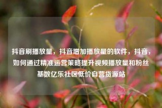 抖音刷播放量，抖音增加播放量的软件，抖音，如何通过精准运营策略提升视频播放量和粉丝基数亿乐社区低价自营货源站