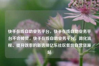 快手在线自助业务平台，快手在线自助业务平台不会掉赞，快手在线自助业务平台，简化流程、提升效率的新选择亿乐社区低价自营货源站