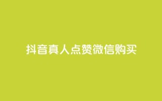 抖音真人点赞微信购买,买点赞下单 - qq空间访问人数狂刷器手机版 - 抖音怎么充值最划算