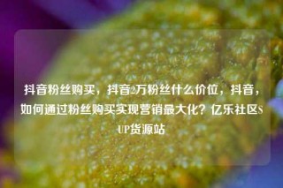 抖音粉丝购买，抖音2万粉丝什么价位，抖音，如何通过粉丝购买实现营销最大化？亿乐社区SUP货源站