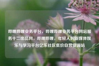 哔哩哔哩业务平台，哔哩哔哩业务平台网站服务十二出品网，哔哩哔哩，年轻人的新媒体娱乐与学习平台亿乐社区低价自营货源站
