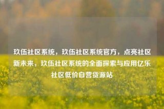 玖伍社区系统，玖伍社区系统官方，点亮社区新未来，玖伍社区系统的全面探索与应用亿乐社区低价自营货源站