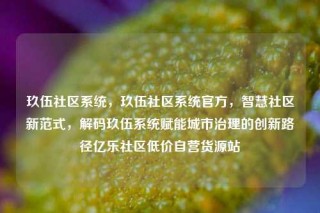玖伍社区系统，玖伍社区系统官方，智慧社区新范式，解码玖伍系统赋能城市治理的创新路径亿乐社区低价自营货源站