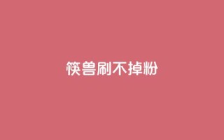 筷兽刷不掉粉,dy24小时自助服务平台 - ks全网最低价下单平台 - dy下单赞