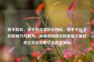 快手粉丝，快手粉丝涨粉丝网站，快手平台上的影响力与魅力，揭秘如何吸引和保留大量粉丝亿乐社区低价自营货源站