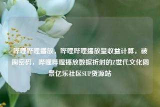哔哩哔哩播放，哔哩哔哩播放量收益计算，破圈密码，哔哩哔哩播放数据折射的Z世代文化图景亿乐社区SUP货源站