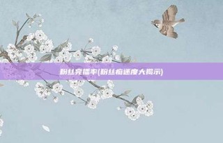 粉丝完播率(粉丝痴迷度大揭示)