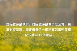 对接货源最低价，对接货源最低价怎么算，精准对接货源，锁定最低价—揭秘高效采购策略亿乐社区SUP货源站