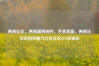 两碗社区，两碗镇两碗村，共享家园，两碗社区的独特魅力亿乐社区SUP货源站
