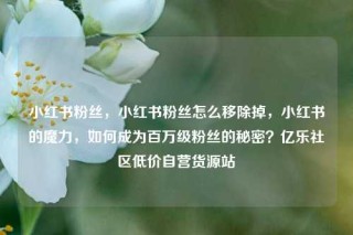 小红书粉丝，小红书粉丝怎么移除掉，小红书的魔力，如何成为百万级粉丝的秘密？亿乐社区低价自营货源站