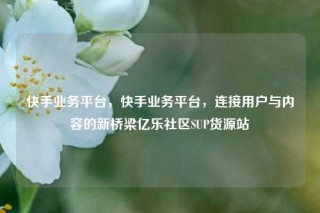 快手业务平台，快手业务平台，连接用户与内容的新桥梁亿乐社区SUP货源站