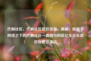 代刷社区，代刷社区低价货源，揭秘，隐蔽于网络之下的代刷社区—真相与风险亿乐社区低价自营货源站