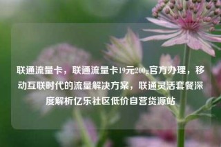 联通流量卡，联通流量卡19元200g官方办理，移动互联时代的流量解决方案，联通灵活套餐深度解析亿乐社区低价自营货源站