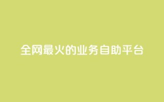 全网最火的业务自助平台,抖音1元100赞 - ks业务一万粉丝 - 卡盟最低自助下单官网