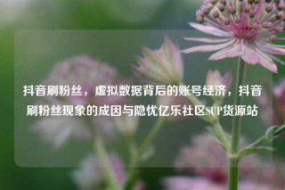 抖音刷粉丝，虚拟数据背后的账号经济，抖音刷粉丝现象的成因与隐忧亿乐社区SUP货源站