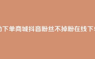 24小时自助下单商城 - 抖音粉丝不掉粉在线下单