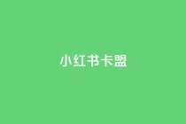 小红书卡盟,1元3000粉丝快手不掉粉 - 拼多多助力刷人软件新人 - 拼多多BP链接
