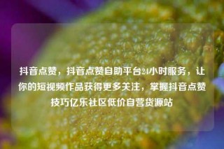 抖音点赞，抖音点赞自助平台24小时服务，让你的短视频作品获得更多关注，掌握抖音点赞技巧亿乐社区低价自营货源站