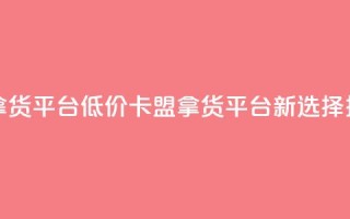 卡盟低价拿货平台 - 低价卡盟拿货平台新选择推荐。