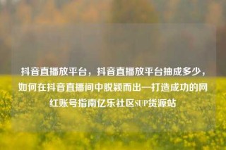抖音直播放平台，抖音直播放平台抽成多少，如何在抖音直播间中脱颖而出—打造成功的网红账号指南亿乐社区SUP货源站