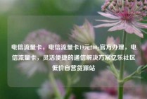 电信流量卡，电信流量卡19元200g官方办理，电信流量卡，灵活便捷的通信解决方案亿乐社区低价自营货源站