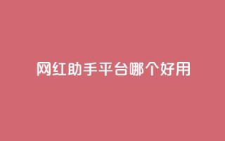 网红助手平台哪个好用,自助下单24小时平台Xhs - qq空间十万访客怎么做 - cfm科技直装免费