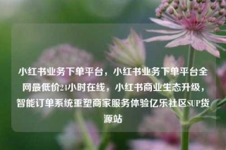 小红书业务下单平台，小红书业务下单平台全网最低价24小时在线，小红书商业生态升级，智能订单系统重塑商家服务体验亿乐社区SUP货源站