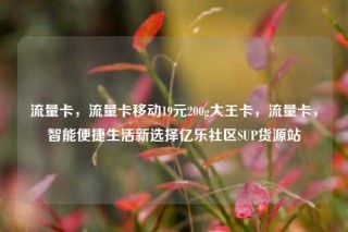 流量卡，流量卡移动19元200g大王卡，流量卡，智能便捷生活新选择亿乐社区SUP货源站