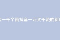 抖音一元可以卖一千个赞 - 抖音一元买千赞的新玩法揭秘~