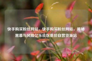 快手购买粉丝网站，快手购买粉丝网站，揭秘黑幕与风险亿乐社区低价自营货源站