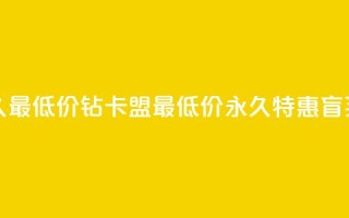 qq刷钻卡盟永久最低价 - QQ钻卡盟最低价永久特惠，盲买无忧~