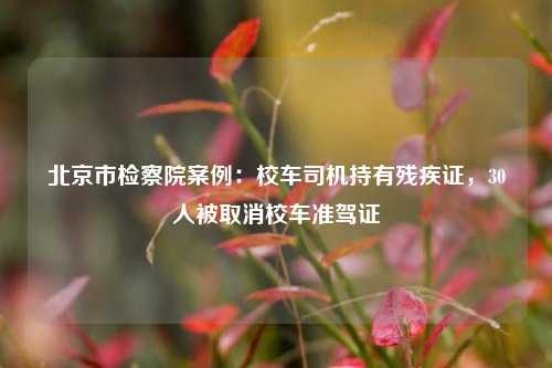 北京市检察院案例：校车司机持有残疾证，30人被取消校车准驾证  第1张