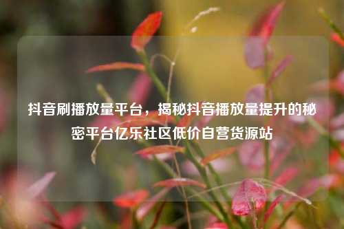 抖音刷播放量平台，揭秘抖音播放量提升的秘密平台亿乐社区低价自营货源站  第1张