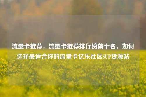 流量卡推荐	，流量卡推荐排行榜前十名，如何选择最适合你的流量卡亿乐社区SUP货源站  第1张