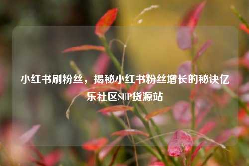 小红书刷粉丝	，揭秘小红书粉丝增长的秘诀亿乐社区SUP货源站  第1张