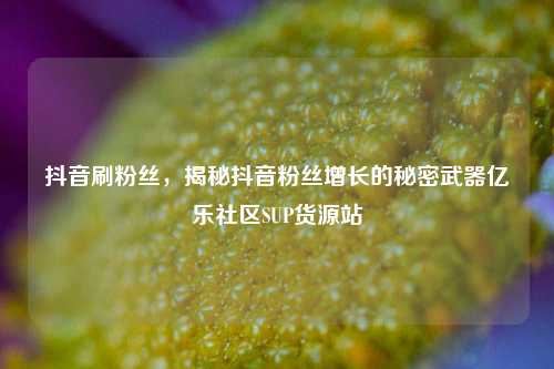抖音刷粉丝，揭秘抖音粉丝增长的秘密武器亿乐社区SUP货源站  第1张