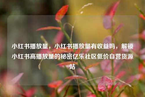 小红书播放量，小红书播放量有收益吗，解锁小红书高播放量的秘密亿乐社区低价自营货源站  第1张