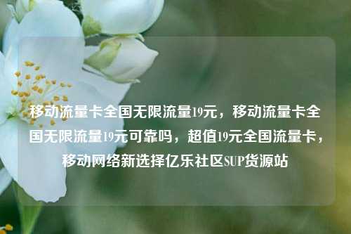 移动流量卡全国无限流量19元	，移动流量卡全国无限流量19元可靠吗，超值19元全国流量卡，移动网络新选择亿乐社区SUP货源站  第1张