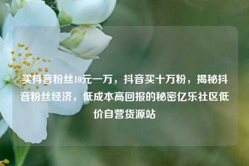 买抖音粉丝10元一万	，抖音买十万粉，揭秘抖音粉丝经济，低成本高回报的秘密亿乐社区低价自营货源站  第1张