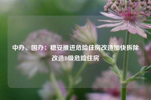 中办、国办：稳妥推进危险住房改造加快拆除改造D级危险住房  第1张