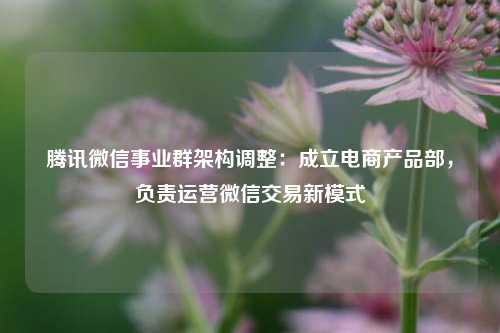 腾讯微信事业群架构调整：成立电商产品部，负责运营微信交易新模式  第1张