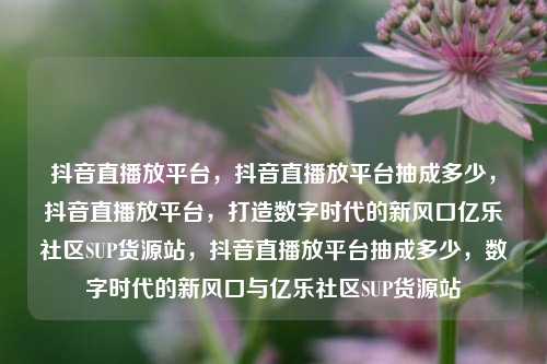 抖音直播放平台	，抖音直播放平台抽成多少，抖音直播放平台，打造数字时代的新风口亿乐社区SUP货源站	，抖音直播放平台抽成多少，数字时代的新风口与亿乐社区SUP货源站  第1张