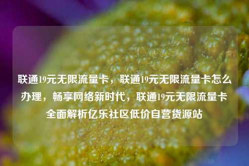 联通19元无限流量卡，联通19元无限流量卡怎么办理，畅享网络新时代	，联通19元无限流量卡全面解析亿乐社区低价自营货源站  第1张