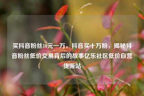 买抖音粉丝10元一万，抖音买十万粉，揭秘抖音粉丝低价交易背后的故事亿乐社区低价自营货源站  第1张