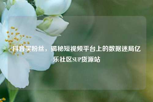 抖音买粉丝	，揭秘短视频平台上的数据迷局亿乐社区SUP货源站  第1张