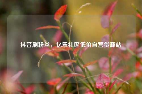 抖音刷粉丝，亿乐社区低价自营货源站  第1张