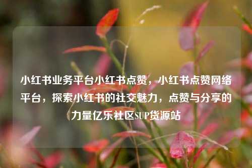 小红书业务平台小红书点赞，小红书点赞网络平台	，探索小红书的社交魅力，点赞与分享的力量亿乐社区SUP货源站  第1张