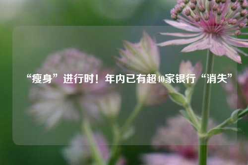 “瘦身”进行时！年内已有超40家银行“消失”  第1张