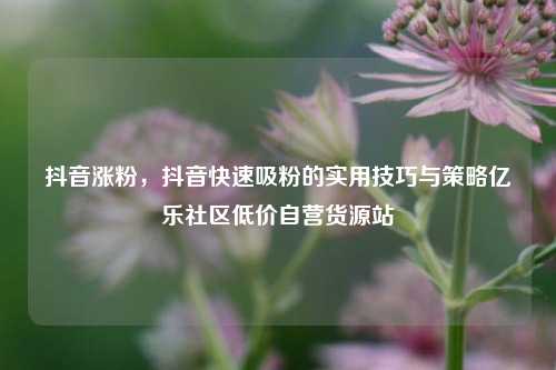抖音涨粉，抖音快速吸粉的实用技巧与策略亿乐社区低价自营货源站  第1张